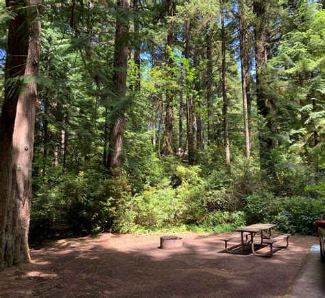 THE 10+ BEST Campgrounds near FLORENCE, OR